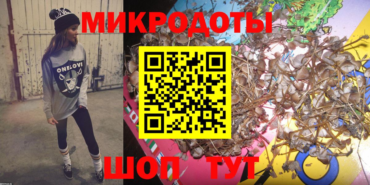Псилоцибиновые грибы Psilocybine cubensis  Вход с VPN  что такое   Галлюциногенные грибы прущие грибы  Удомля 